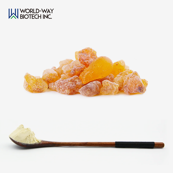 Boswellia Extract Powder Boswellia Extract Powder
